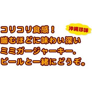 オキハム ミミガージャーキー9g(小)の詳細画像3