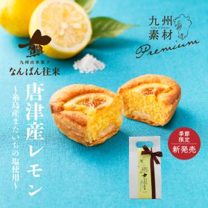 夏花火パイ 24枚入 株式会社美松 ガトウ専科 のし無料 送料無料 05 001 02 新潟直送計画 通販 Yahoo ショッピング