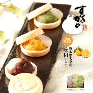 春ギフト 2023 柚子 和菓子 最中 すくのかめ6個入 N9