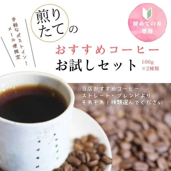 【メール便送料無料】【初回限定】【お一人様1回1個まで】おすすめコーヒーお試しセット（100g×2種...