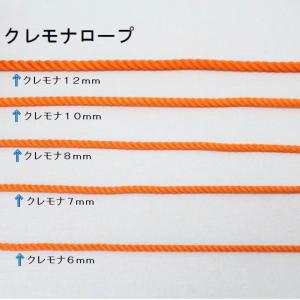 クレモナロープ 太さ6mm オレンジ・化繊・締...の詳細画像1