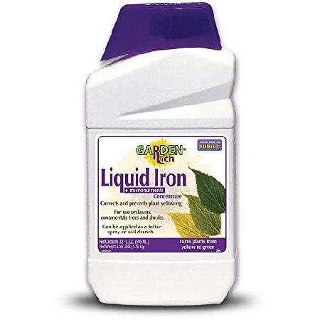 Bonide Garden Rich Liquid Iron + Micronutrients, 3...
