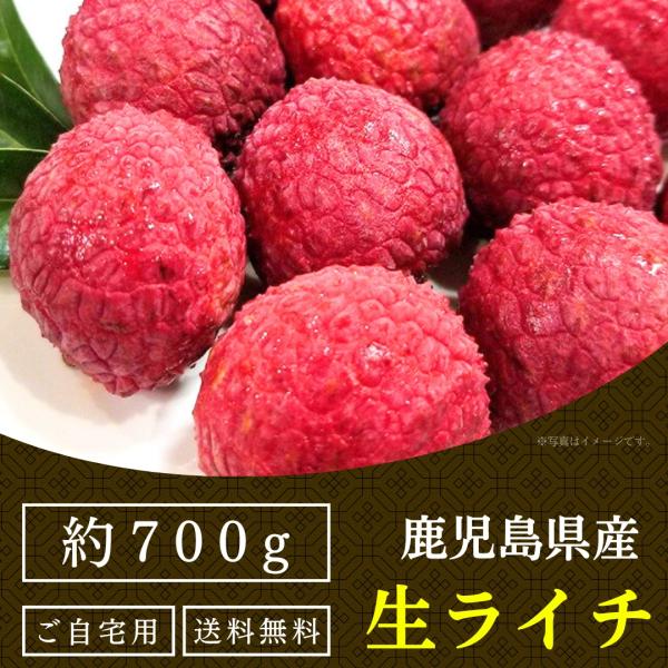 【2025年 7月中旬〜 出荷予定】生ライチ 国産(鹿児島) 生産販売 ご自宅用 約700g