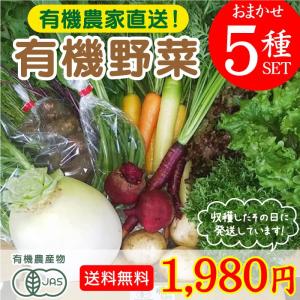 旬のこだわり有機野菜おまかせ5種セット!送料無料! お試し 有機農家直送 産地直送 新鮮 宮崎県綾町産