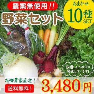 農薬無使用！旬のこだわり新鮮野菜おまかせ10種セット!送料無料! 有機農家直送 産地直送 新鮮 宮崎県綾町産