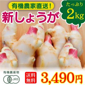 有機野菜 宮崎県綾町産 新しょうが 2kg 新生姜