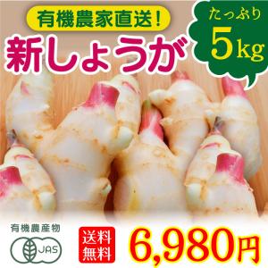 有機野菜 宮崎県綾町産 新しょうが 5kg 新生姜 送料無料｜nangokunouen