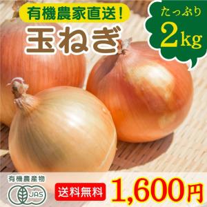 有機野菜 宮崎県綾町産　農薬無使用　玉ねぎ　2kg　送料無料｜nangokunouen