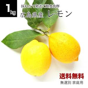 農薬不使用 徳さんの レモン 広島県産 10kg 国産レモン 瀬戸内レモン