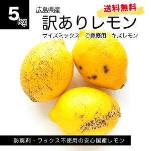 ふじたファームの訳あり瀬戸内レモン 5kg 国産減農薬レモン　広島県産国産レモン　訳あり　防腐剤不使用　ワックス不使用