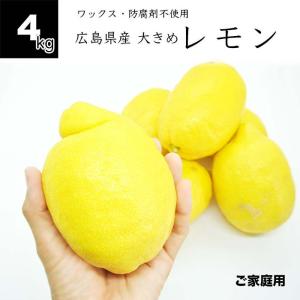 健ちゃんファームの訳あり夏のジャンボレモン 広島県産 4kg 国産レモン サイズ大きめ 防腐剤不使用 ノーワックス ご家庭用｜nanico