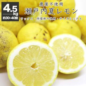 農薬不使用 レモン 健ちゃんファームの瀬戸内産 夏レモン 広島県産 2.2