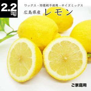 健ちゃんファームの訳あり夏のレモン 広島県産 2.2kg 国産レモン 防腐剤不使用 ノーワックス ご家庭用