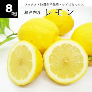 農薬不使用 徳さんの レモン 広島県産 10kg 国産レモン 瀬戸内レモン