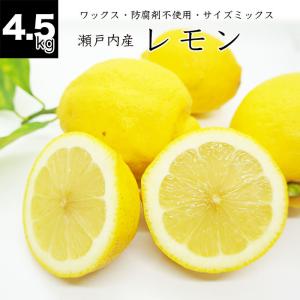 健ちゃんファームの瀬戸内産レモン 広島県産 4.5kg 25〜40個前後 国産レモン 防腐剤不使用 ノーワックス