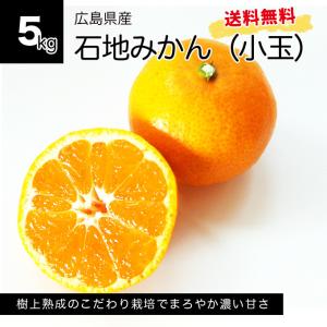 オトメさんの石地みかん（小玉）５kg 広島県産　送料無料　家庭用　ミカン　いしじみかん 訳あり