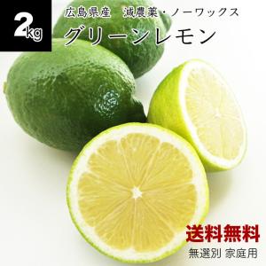 広島県産　徳さんのグリーンレモン2kg 国産レモン　送料無料　減農薬訳あり