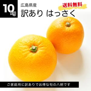 徳さんの訳あり八朔　約10kg 広島県産　はっさく　訳あり　サイズミックス  送料無料