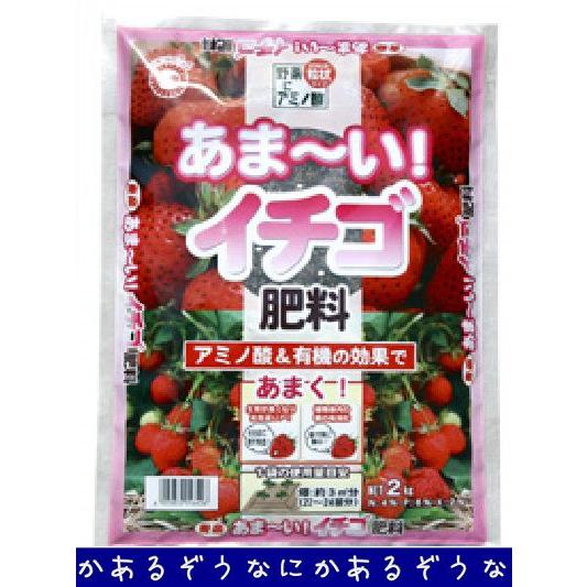 東商　あま〜いイチゴ肥料　2kg