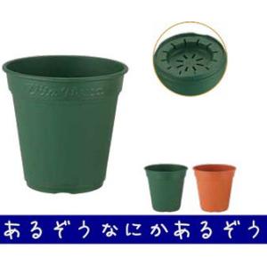 ロゼアポット300型 グリーンの商品画像