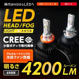 CREE社製　LED 4200ルーメン 6500K 冷却ファン搭載 アルミヒートシンク【H8/H10/H11/H16】｜nanikore