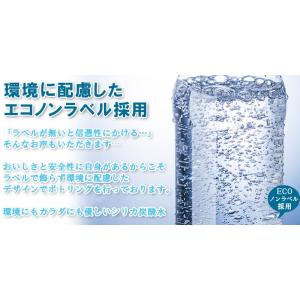 シリカ 強 炭酸水 500ml×48本 ノンラ...の詳細画像2