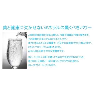 シリカ 強 炭酸水 500ml×48本 ノンラ...の詳細画像3