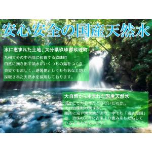 シリカ 強 炭酸水 500ml×48本 ノンラ...の詳細画像4