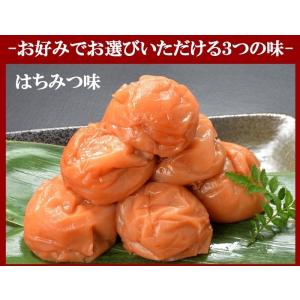紀州南高梅 つぶれ梅 400g×1袋 梅 うめ...の詳細画像3