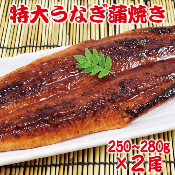 250-280g　特大うなぎ蒲焼き2尾セット (1尾あたり250-280g) 訳あり 特製たれ &amp; ...