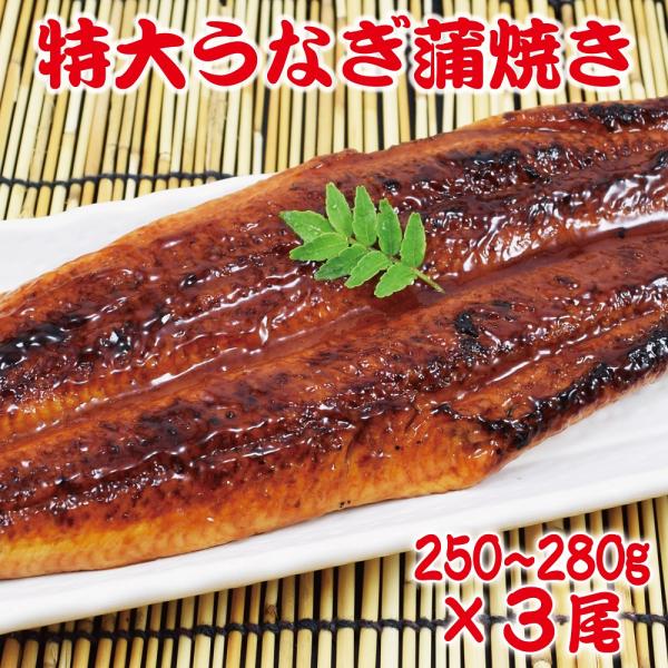 250-280g　特大うなぎ蒲焼き3尾セット (1尾あたり250-280g) 訳あり 特製たれ &amp; ...