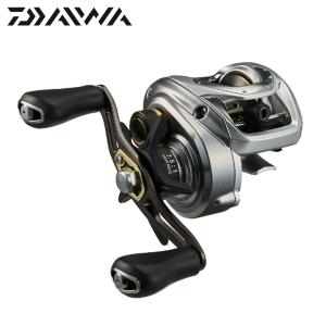 DAIWA（釣り） ダイワ 12 シーライン石鯛 40H遠投 : ナニワ釣具
