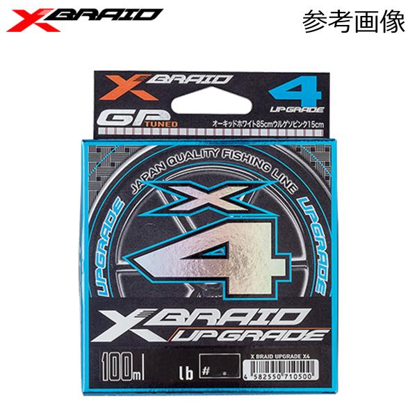 X-BRAID UPGRADE X4 0.25号 5LB 100m