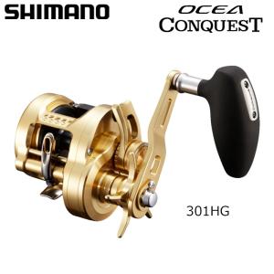 シマノ (SHIMANO/シマノ) 21ツインパワーSW 8000HG 04228 (042286