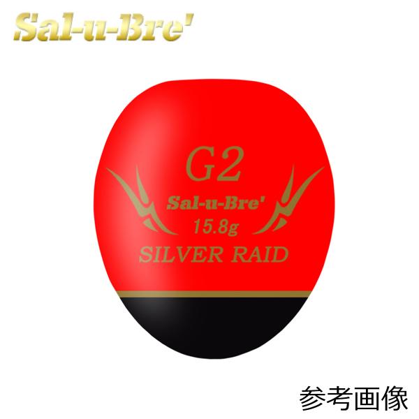 ソルブレ シルバーレイド