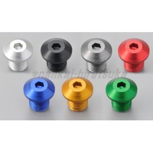 DAYTONA　M10正ネジ　ミラー穴埋めボルト　99614/9961