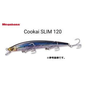 Megabass(メガバス) Cookai SLIM(空海スリム) 120F 122mm 12g Hook：#6 x 3 (爆買)｜釣具の通販 南紀屋