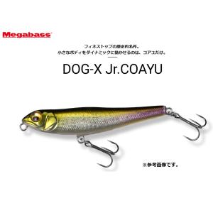 Megabass（メガバス） バスルアー ポップエックス GG バス / Megabass