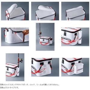 マルキュー パワーバッカンセミハード 36TR...の詳細画像3