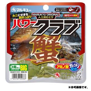 2026年6月】青イソメのおすすめ人気ランキング - Yahoo!ショッピング