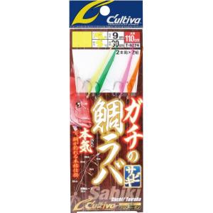 Hayabusa（ハヤブサ） (数量限定)ハヤブサ/Hayabusa 鳴門・瀬戸内伝統