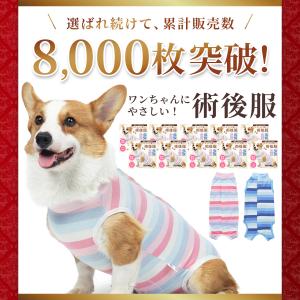 犬 術後服 エリザベスカラー オス メス 犬用...の詳細画像1