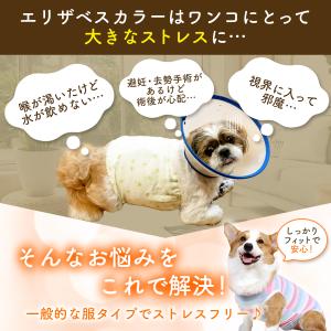 犬 術後服 エリザベスカラー オス メス 犬用...の詳細画像5