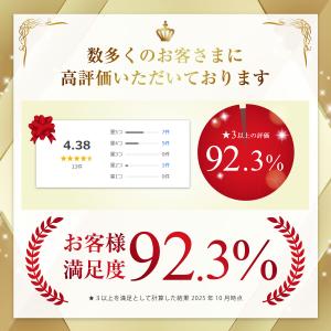 滑り止め 靴 スノースパイク 雪 靴底 10本...の詳細画像3