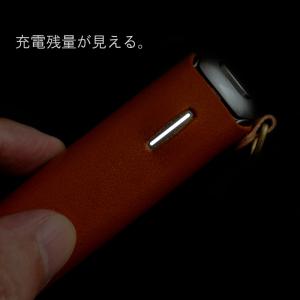 プルームオーラケース プルームオーラカバー P...の詳細画像5