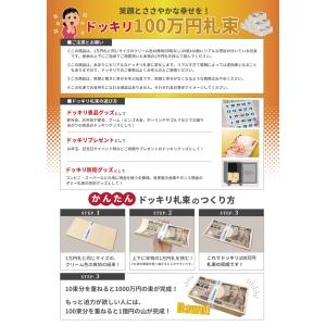 札束 ダミー 100万円分 １束（百万円分）セット レプリカ