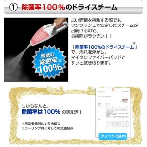 ハイブリッド スチームクリーナー 2年保証 除...の詳細画像4