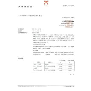 ハイブリッド スチームクリーナー 2年保証 除...の詳細画像5
