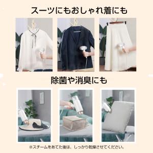 ハイブリッドスチーマー SMA001 スチーム...の詳細画像5