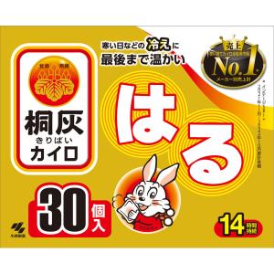 ライフウェーブ X39 パッチシール 30枚 説明書あり : セラフィー